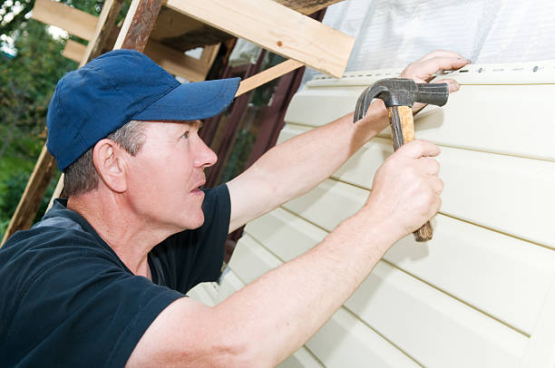 Professional Siding Installation & Repair in Borrego Springs, CA