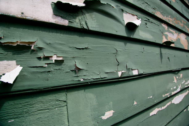 Best Steel Siding Installation  in Borrego Springs, CA